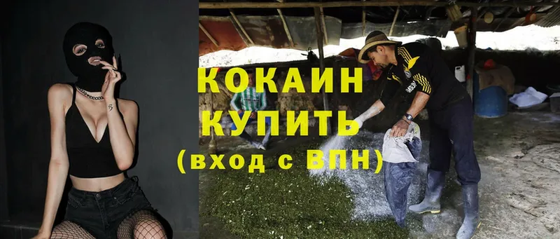 Кокаин Боливия Власиха