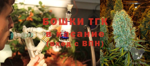 прущие грибы Почеп