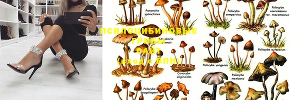 тгк Нея